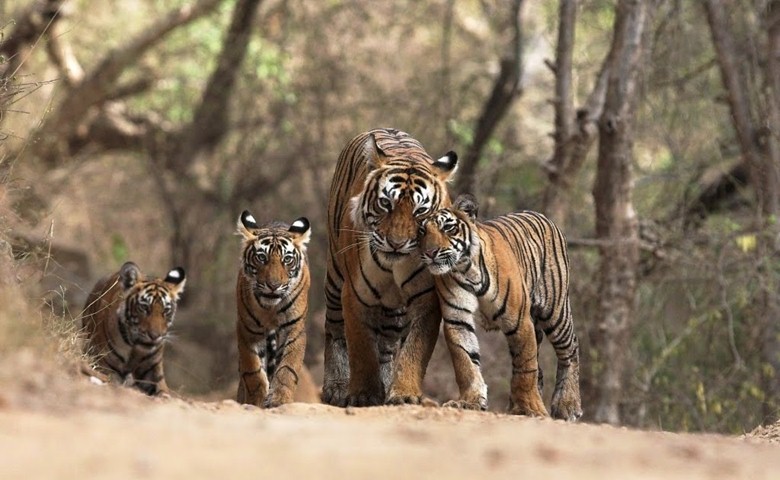 Pakhui Wildlife Sanctuary