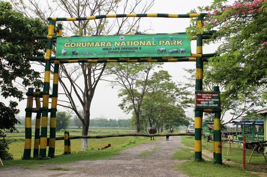GORUMARA NATIONAL PARK