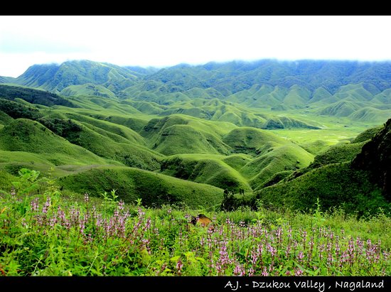 Nagaland